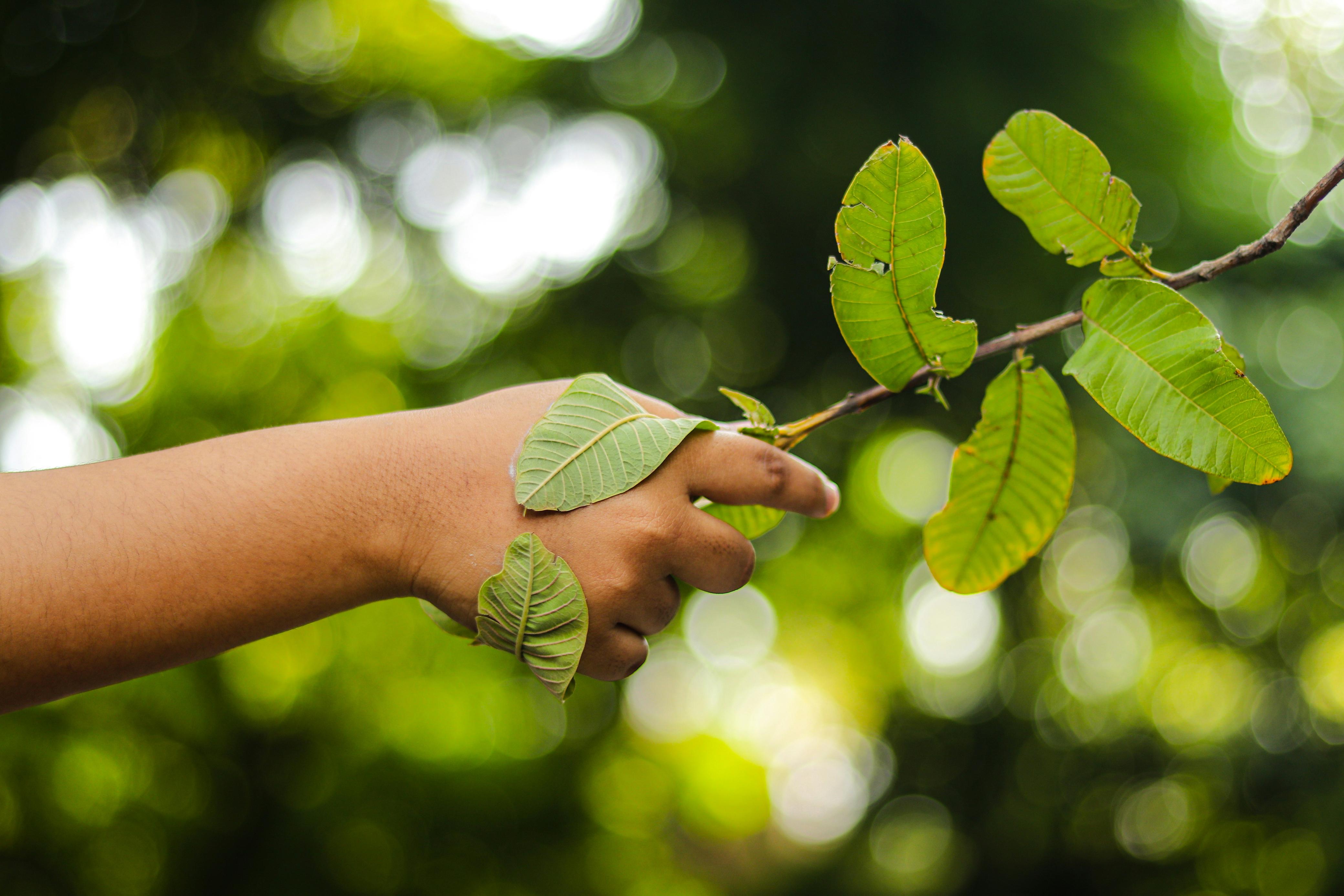 Licenciamento Ambiental